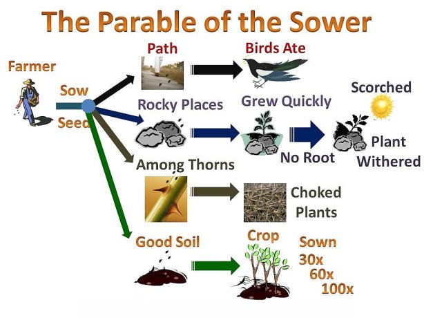 the-parable-of-the-sower