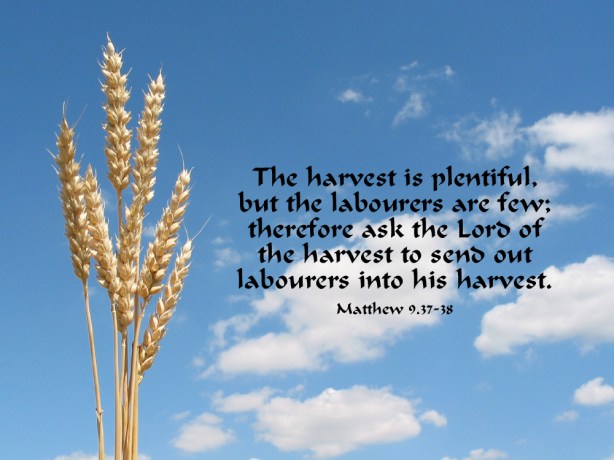 Matthew9_37-38.jpg image