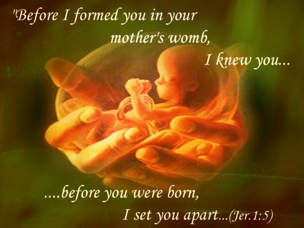 1449785240742.jpg image