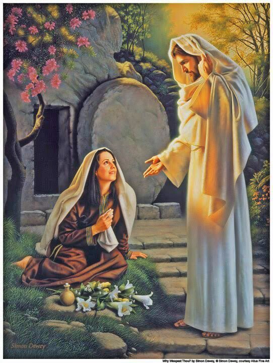 wp-1459202510040 image